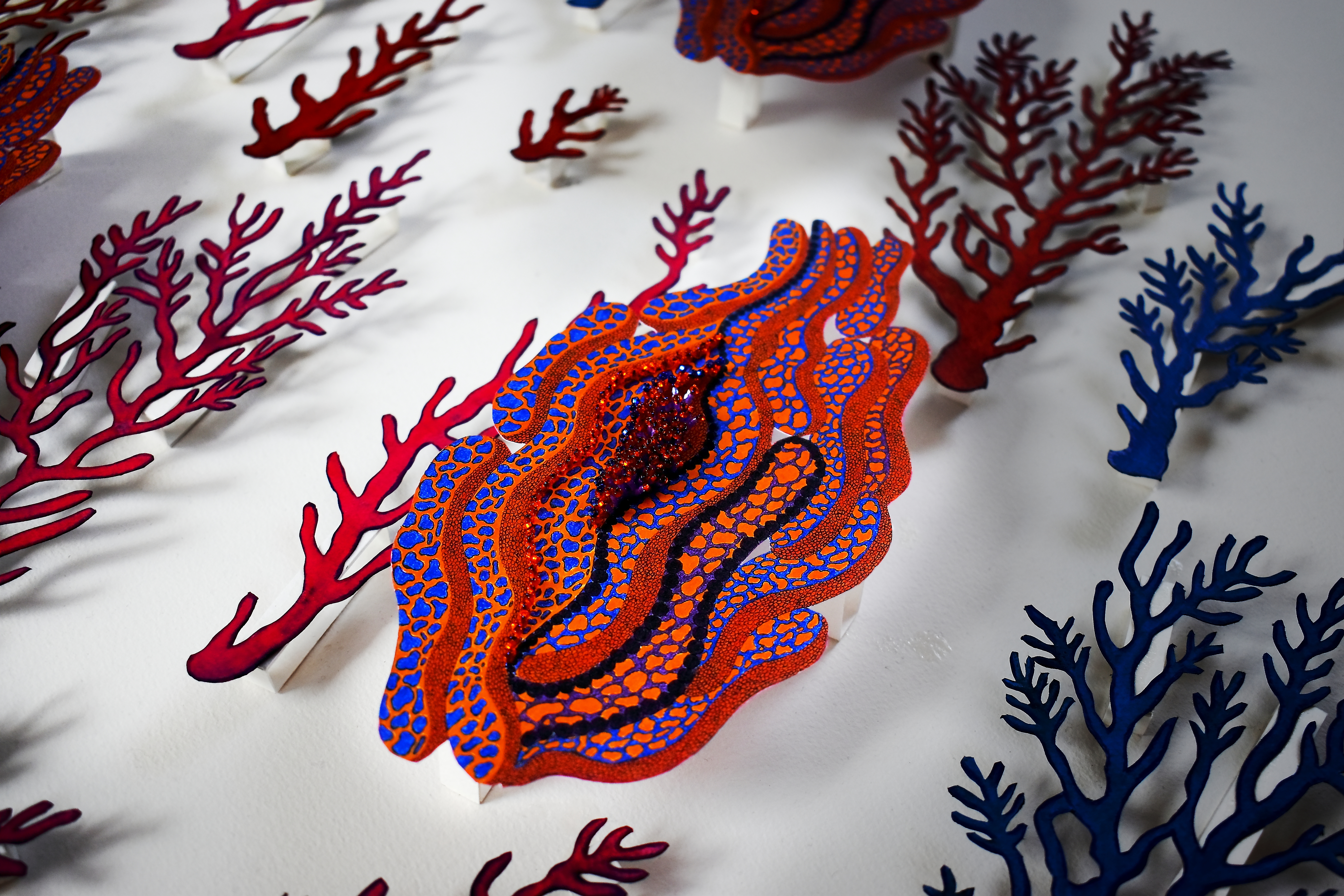 Exposition au Musée du Textile de Labastide-Rouairoux